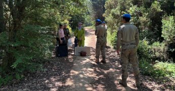 Ormanlar onlara emanet