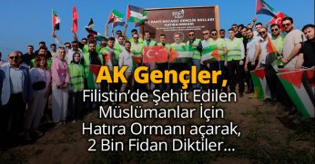 Filistinde şehit olan müslümanlar için 2 Bin Fidan Diktiler