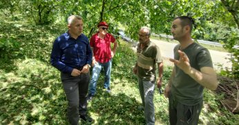 BAŞKAN ÖLMEZ YAĞIŞLARDAN ETKİLENEN TARIM ALANLARINDA