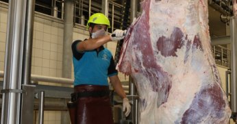 Kurbanda çevre ve halk sağlığına dikkat