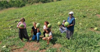 Üreticiler karpuz tohumlarını toprakla buluşturdu