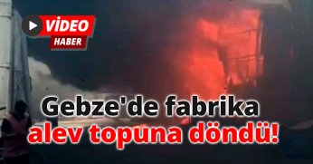 Gebze'de fabrika alev topuna döndü: Bölgeye çok sayıda ekip sevk edildi