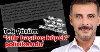 Tek Çözüm ‘’sıfır başıboş köpek’’  politikasıdır
