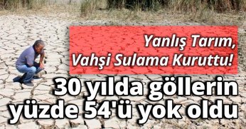  30 yılda göllerin yüzde 54'ü yok oldu