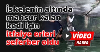 İskelenin altında mahsur kalan kedi için itfaiye erleri seferber oldu