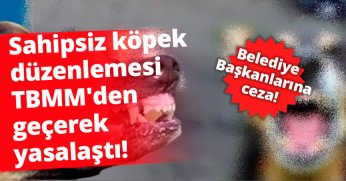 Sahipsiz köpek düzenlemesi TBMM'den geçerek yasalaştı!