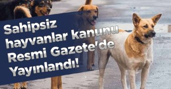 Sahipsiz hayvanlara yönelik düzenlemeler içeren kanun Resmi Gazete'de