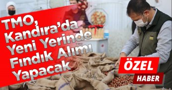 TMO Bu Sene, Kandıra’da Yeni Yerinde Fındık Alımı Yapacak