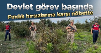 Jandarma fındık hırsızlarına karşı nöbette