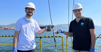 İzmit Körfezi’nde deniz ekosistemi hayat buluyor