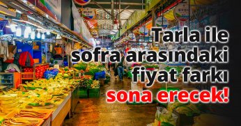 Tarla ile sofra arasındaki fiyat farkı sona erecek! 