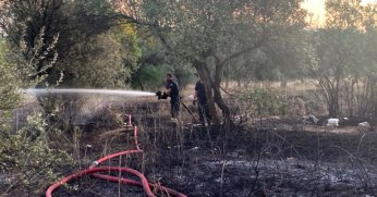 Mangaldan çıkan yangın 2 dönümlük alanı küle çevirdi