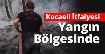 Kocaeli İtfaiyesi Yangın Bölgesinde 