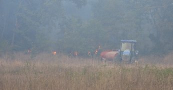 Kocaeli'deki orman yangını 3 saatte kontrol altına alındı