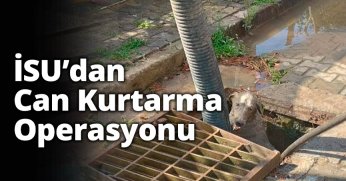 İSU’dan Can Kurtarma Operasyonu