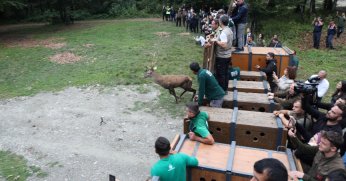 Doğa dostu Büyükşehir ekosistemi koruyor