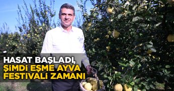 HASAT BAŞLADI, ŞİMDİ EŞME AYVA FESTİVALİ ZAMANI