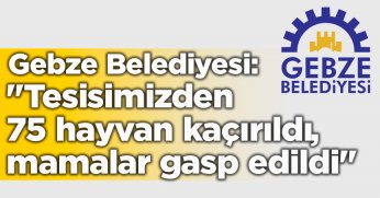 Gebze Belediyesi: 