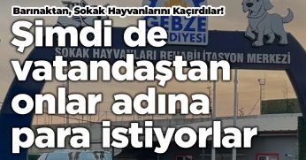 Sokak Hayvanlarını Kaçırdılar! Şimdide vatandaştan onlar adına para istiyorlar.