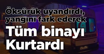 Öksürük uyandırdı, yangını fark ederek tüm binayı kurtardı