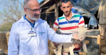 Büyükşehir’in koç desteğiyle 5.400 kuzu doğdu