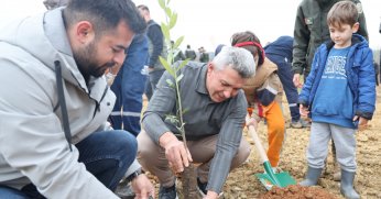 Kandıra’da 1.500 Defne Fidanı Toprakla Buluştu.