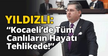 Yıldızlı: Kocaeli’nde Tüm Canlıların Hayatı Tehlikede! 