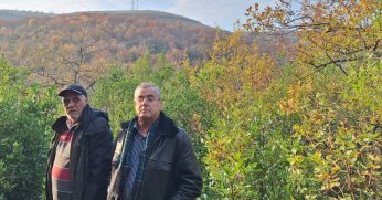 Çöp Tesisi için 50 bin ağaç kesilecek