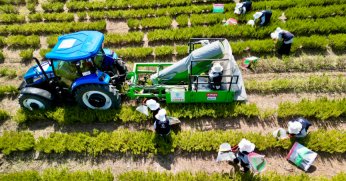 TABİP’te 2024 üretim sezonu tamamlandı