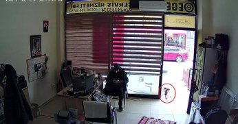 Köpek, esnafa vefa borcunu böyle ödedi