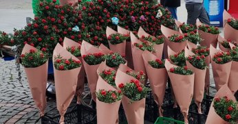 Fiyatı dikkat çekti