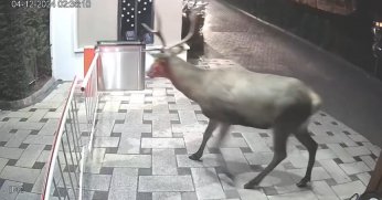 O anları anlattılar