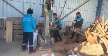  Budanan ağaçlar, dar gelirli ailelere yakacak oluyor