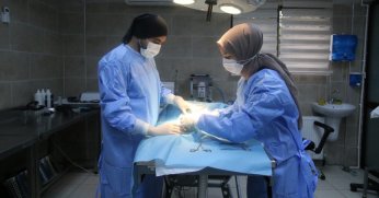 Portakal'ı tedavi ettiler!