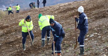 Kocaeli’de 4 bin ağaç toprakla buluşturuluyor