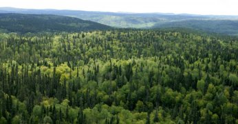 Kandıra Rüzgâr Enerji Santralı 8 türbin daha ekliyor