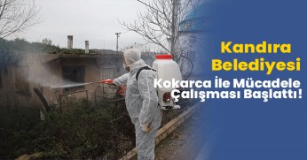 Kokarca İle Mücadele Çalışması Başlattı!