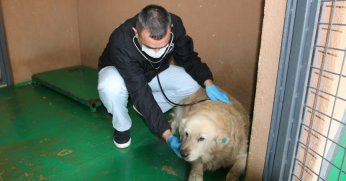 Akbaş ve Korsan’ın yaraları sarıldı