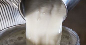 'Süt yerine yanlışlıkla su koyduk'