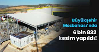 6 bin 832 kesim yapıldı!