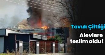 Alevlere teslim oldu!