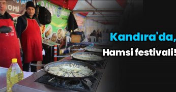 Hamsi festivali!