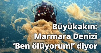 Büyükakın: Marmara Denizi ‘Ben ölüyorum!’ diyor