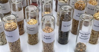 Türkiye genelinde raflarda olacak