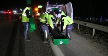 Yeni detaylar ortaya çıktı