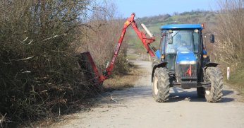 Dikenli ot ve dallar temizleniyor