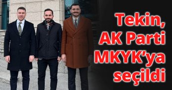 Tekin, AK Parti MKYK’ya seçildi
