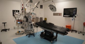 Mangal tutuştururken yanan da geliyor, yangından etkilenen de