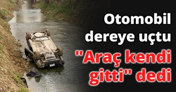 Otomobil dereye uçtu, 