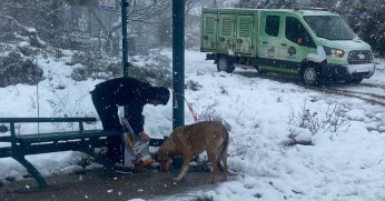 Sokak hayvanları unutulmadı!